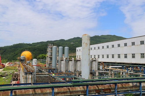 沐川县政府信息公开